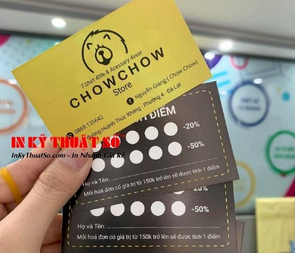 In thẻ tích điểm giá rẻ HCM trên Việt Nam Printing
